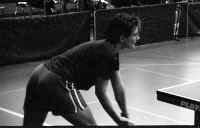 72-033_33.jpg (41419 Byte)