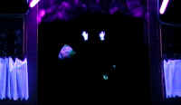 72dv051.jpg (19168 Byte)