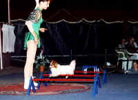 72-037_35.jpg (43561 Byte)