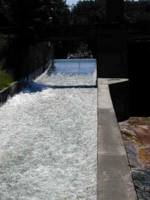 DSCN0275_small.jpg (91007 Byte)