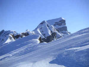 wpe47.jpg (31285 Byte)