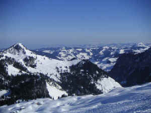 wpe50.jpg (38365 Byte)